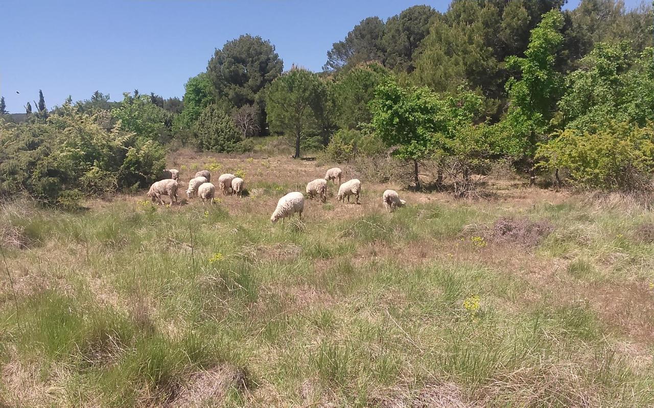 Une Chambre En Luberon Puyvert Exteriör bild